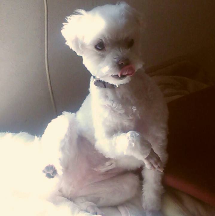 6baeb30b 6b92 4c81 86c0 2e4c351f9ef2