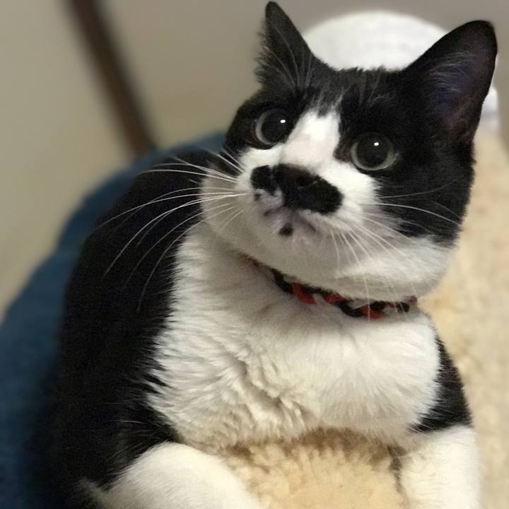 6baf4996 1d55 43e9 afb6 6b310648d91b