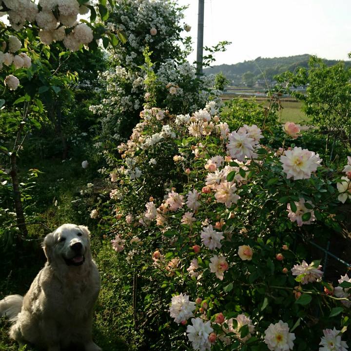 6baff076 8e21 4d7d b09b c5f9a694acec