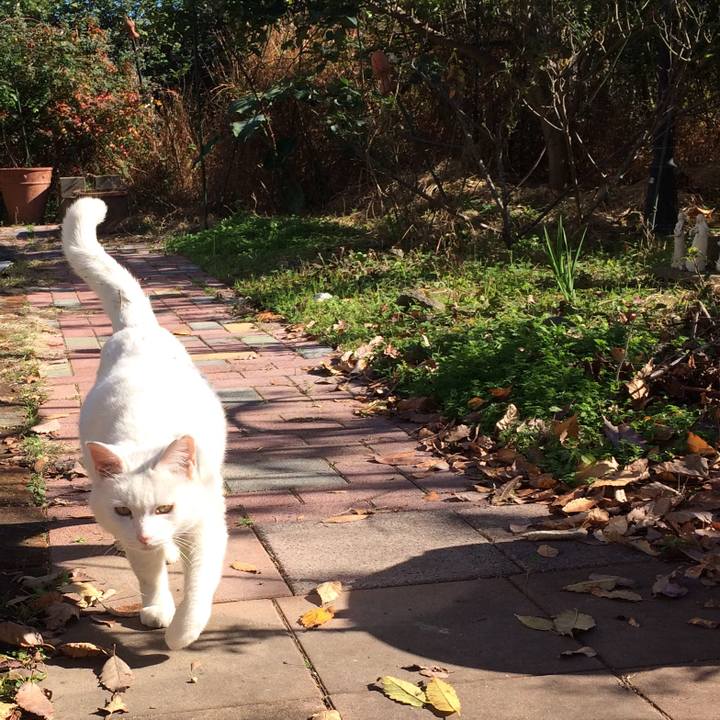 6bb025ce bdb9 4708 9be1 39fa68b8da24