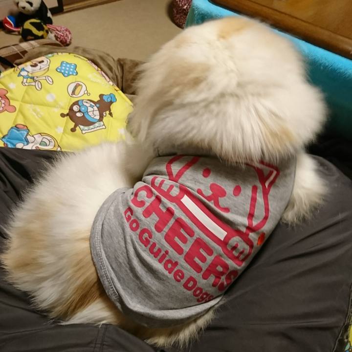 6bb05855 fe00 4bff 96d0 0be3a7929b2a