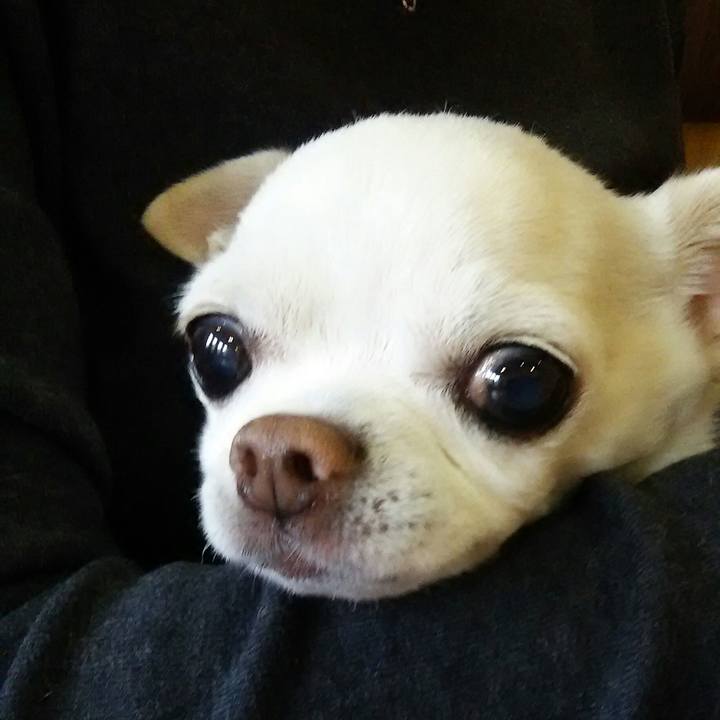 6bb09ebf 151e 4371 9c5a 5c2578279e41