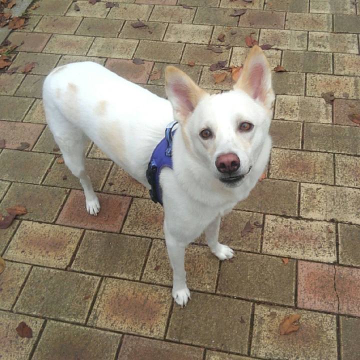 6bb0b062 809e 445a 8974 e9458084705e