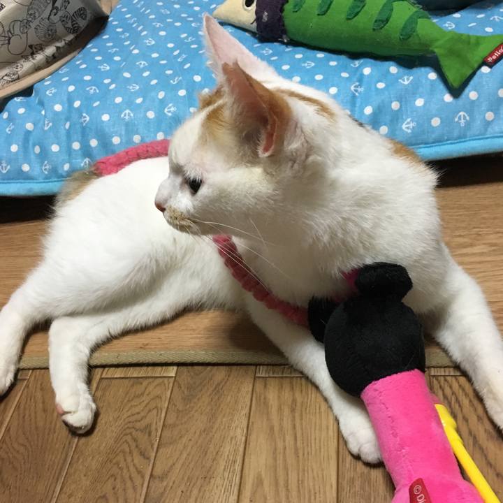 6bb0c17a 11e5 4eb6 9ffa a7d40a90f4af