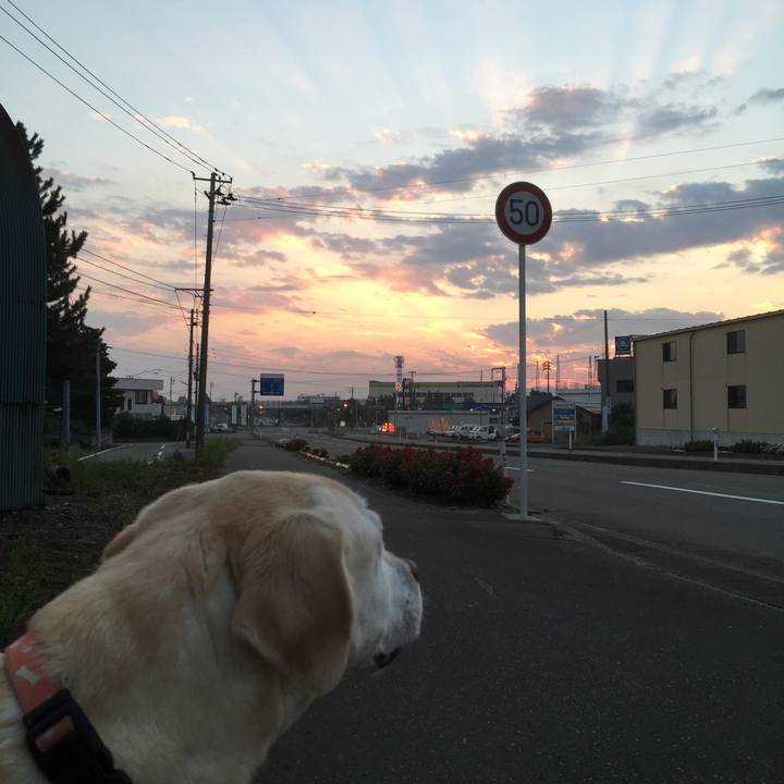 6bb251a9 41e2 485f 84f6 6e7a56f139a6