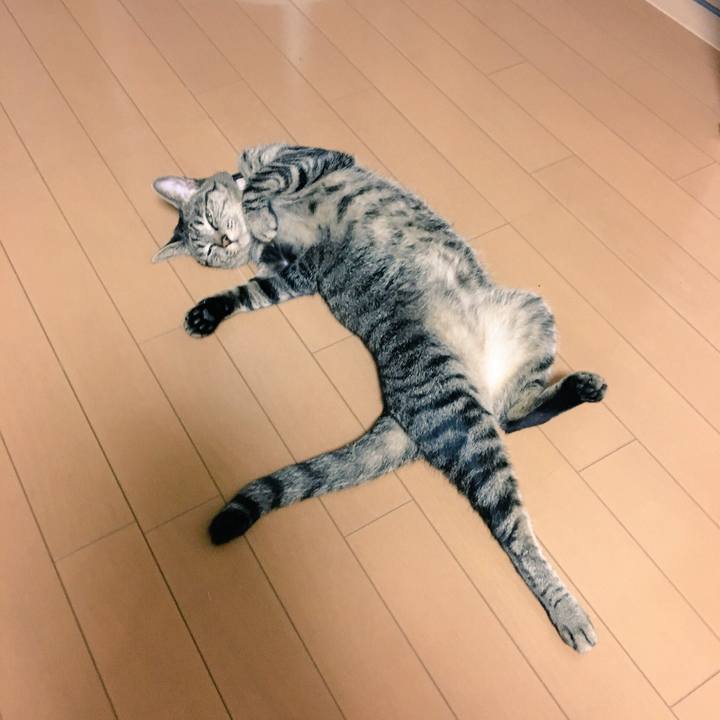 6bb2df16 0c19 42c8 be41 cd5aa95e9a13