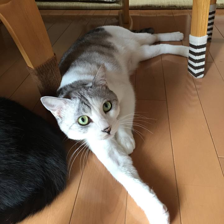 6bb30074 ea53 4992 ab25 7102b5175f72