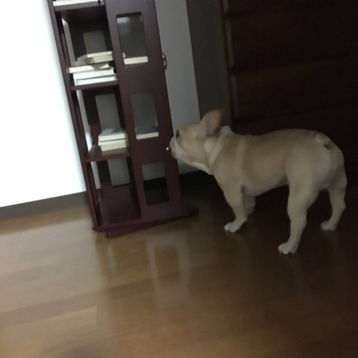 6bb3192e 32e1 4e6f 985c 56ec047e0e05