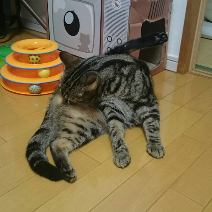 6bb34883 7354 4d35 abc2 7f9a351bb2bf