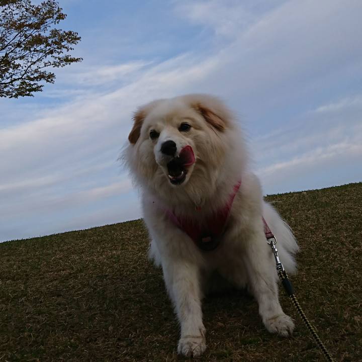 6bb415ef 38a6 4bb1 b6a5 da8f1334b491