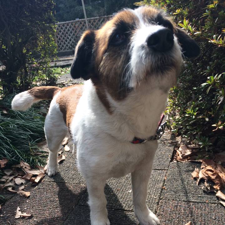 6bb477e8 21bb 421d a2cf 03b02ec89b8d