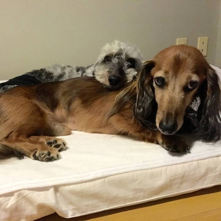 6bb52b68 1581 49b4 8b7a 58eade17e7b4