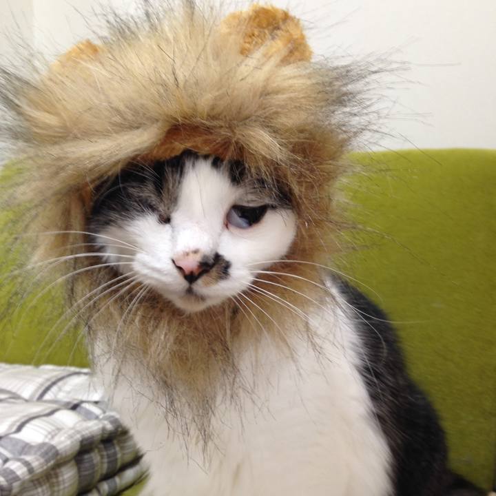 6bb5d6a0 cef7 44ff 8904 de4ad71021d3