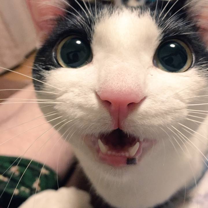 6bb5d92b 493e 42c4 81f1 8570bb473cc2