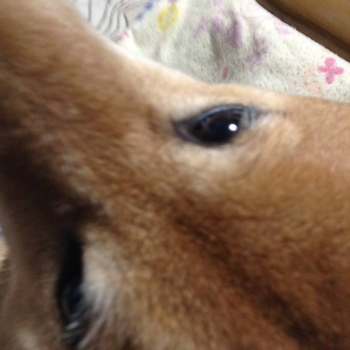 6bb63019 4186 4c37 badb 93095295c239