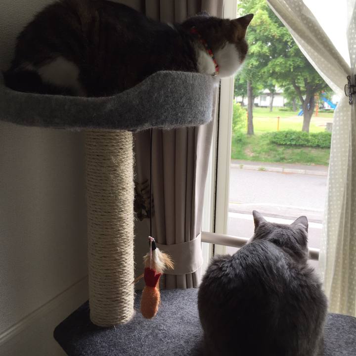 6bb65b3d 9847 4cb6 a1f1 ab792069a92f