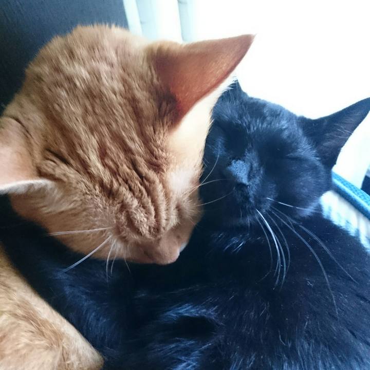 6bb73a05 b183 47cf 8fef 01c6047aeb3e