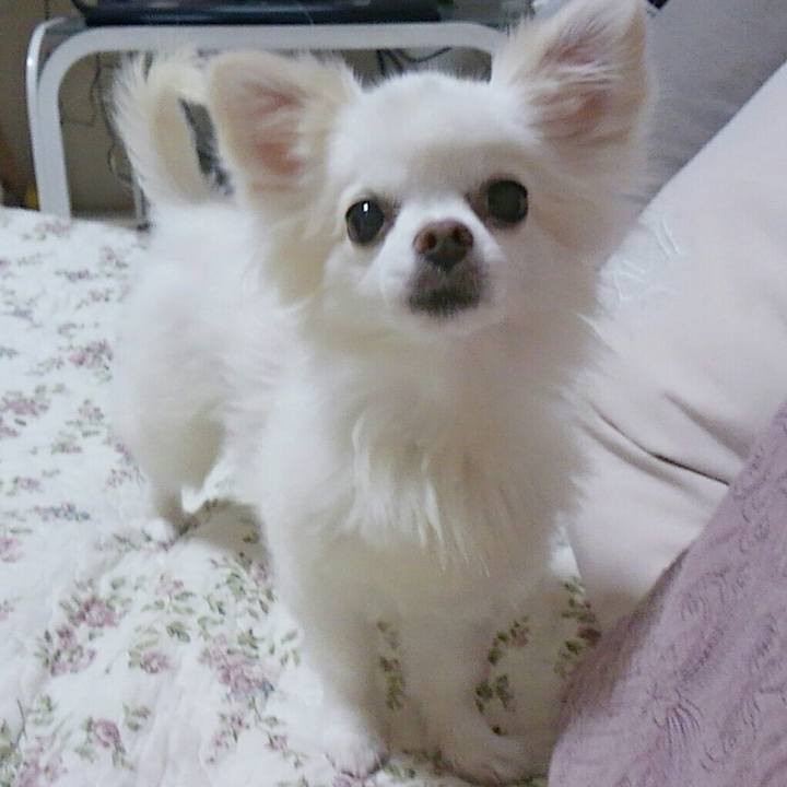 6bb7a862 f06a 4e79 a47d 4e980abce181