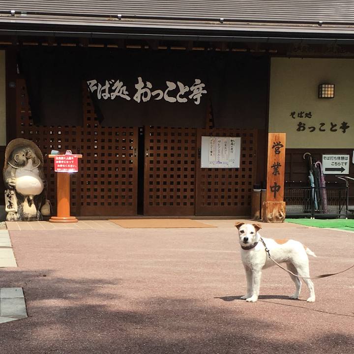 6bb9771a a2c5 48e5 91dc 5268979c71de