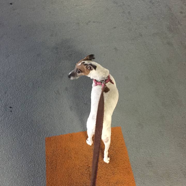 6bb9ca08 f13b 4ae7 86f7 b5038c0e7bf5