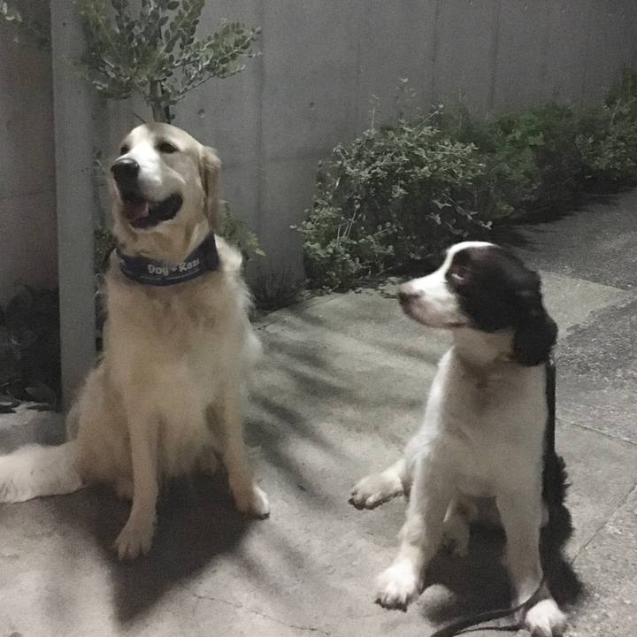 6bb9e212 4c6d 4a4b a779 dff21ffcee93