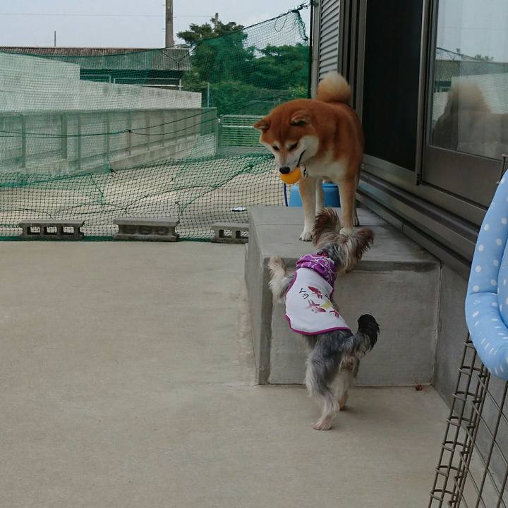 6bba7e9a e1db 46bc 8738 a3f643939e40