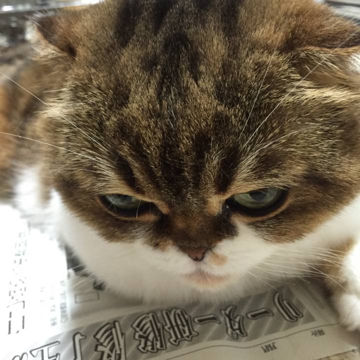 6bbac9f6 9f00 4661 ac42 4b83056f8012