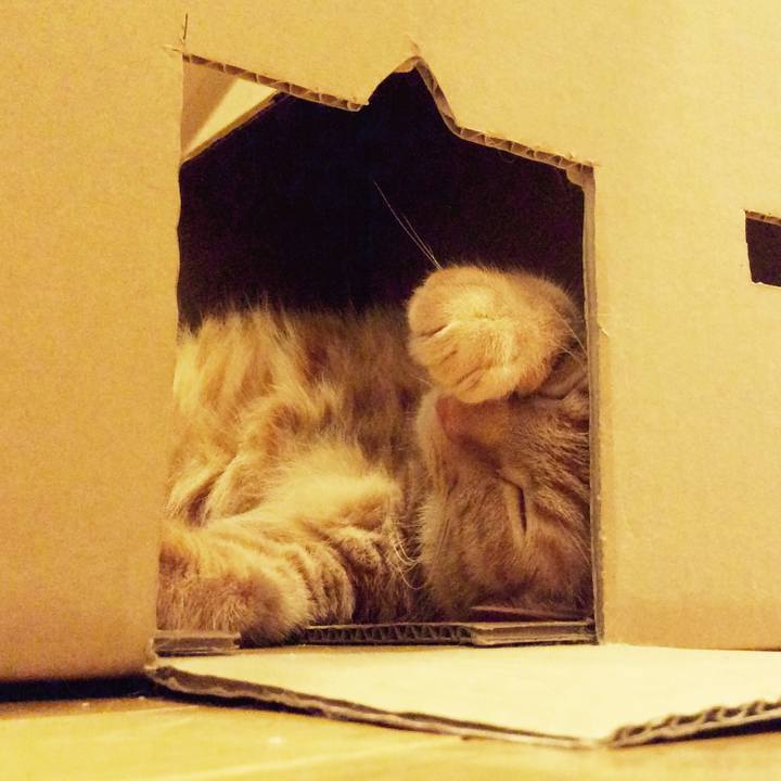 6bbb9439 cb39 401b acdd c3dce825a51e