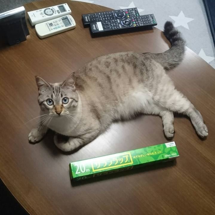 6bbbf0ae 9ff4 44fa 95ed 712577133564