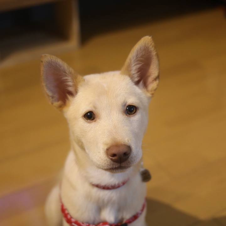 6bbd4431 7ac7 4536 8550 53bfc3f8f582