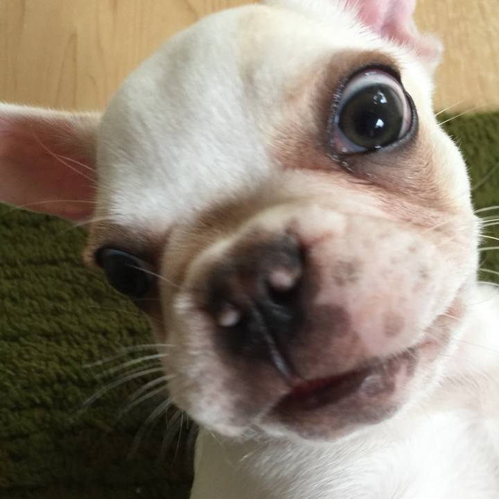 6bbdea73 2f9b 4ee6 abc2 9b09dc7f8a97