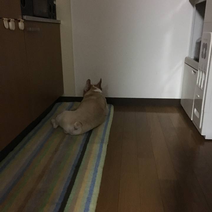 6bc009d4 1779 46b9 8c91 791b29931a73