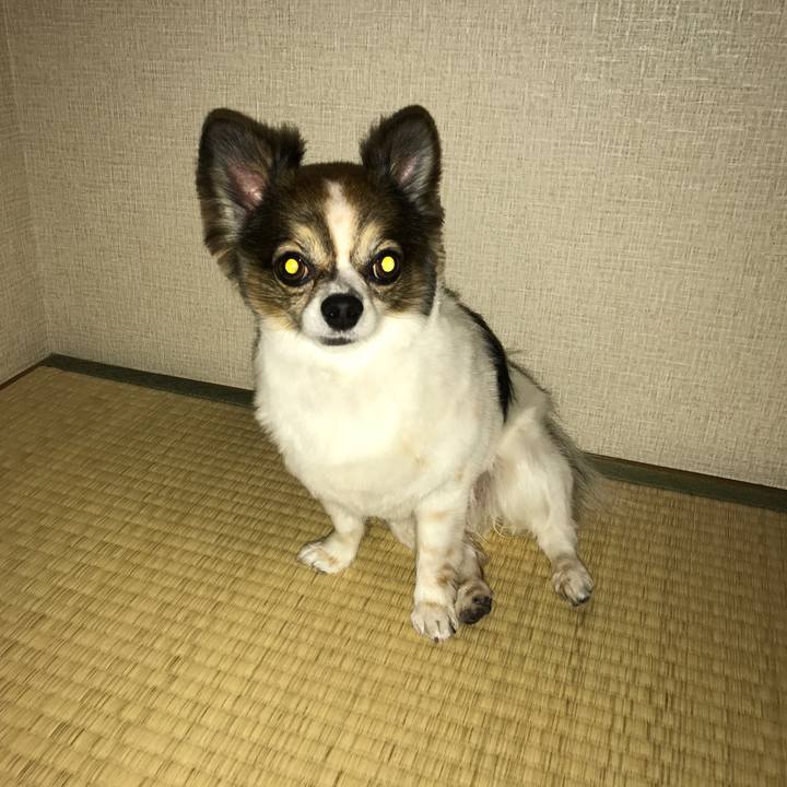 6bc0497f 5a6f 465a a7a8 408f54acfd60