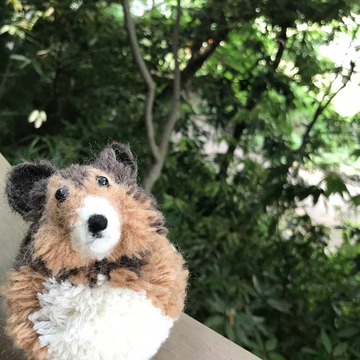 6bc0524d 0eff 4275 a809 e803fec15ecd