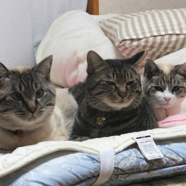 6bc11f48 e767 45ff 8c16 fb7089317711