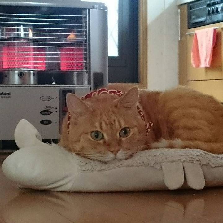 6bc22b9e 5e5f 4f2d 8bb4 c8f7f0312636