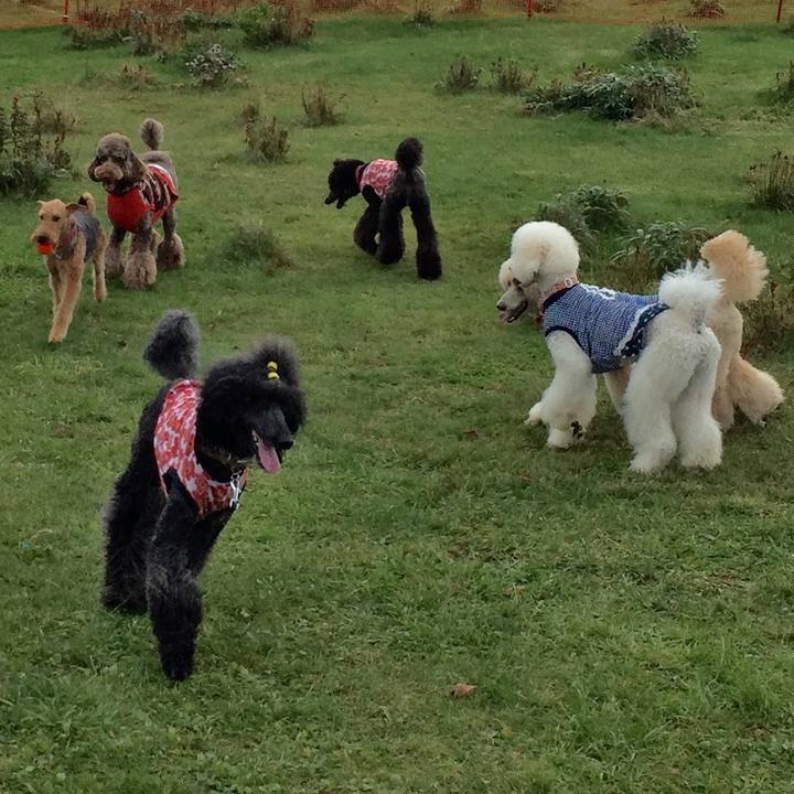 6bc25bba 11e3 4153 a818 ae8e65a9c2fc