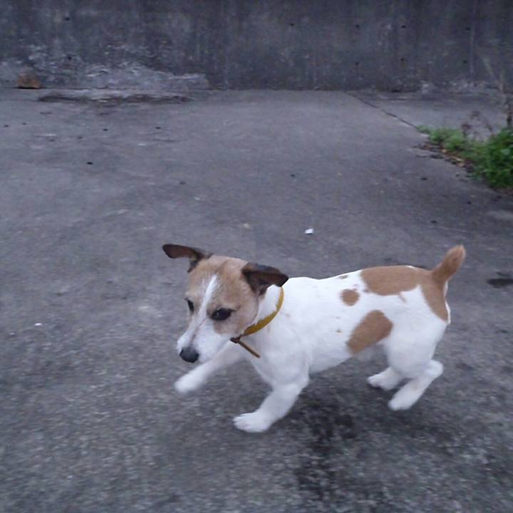 6bc2985d 6fb5 473e b139 d906b4201555