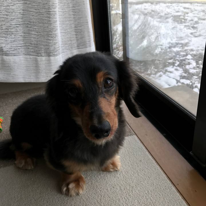 6bc2b409 c7da 49d4 96db 43b07efd1d7d