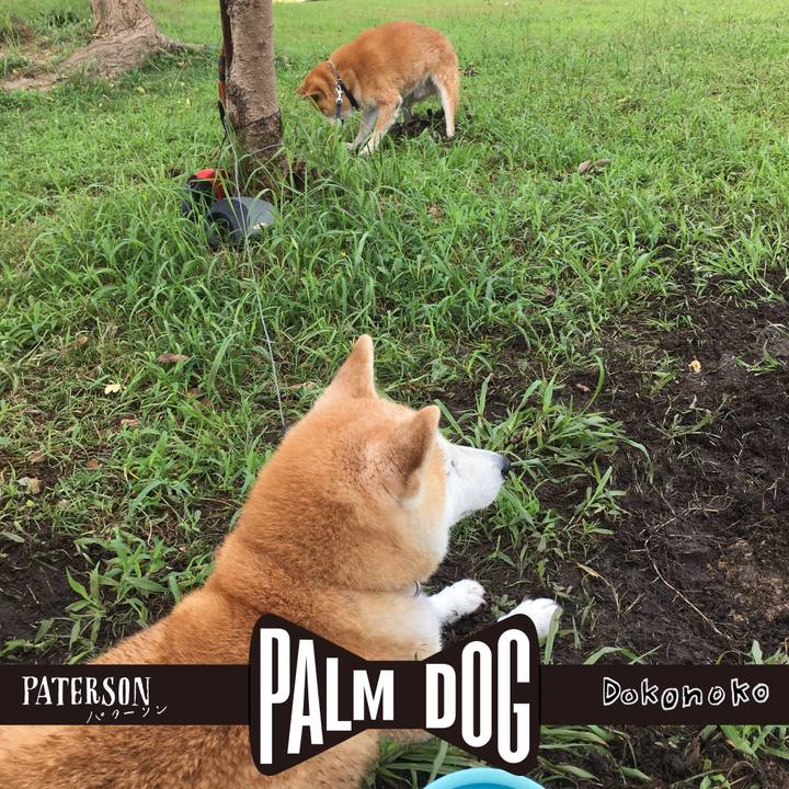 6bc31685 3852 4c6a 8e3f c452dea0b859