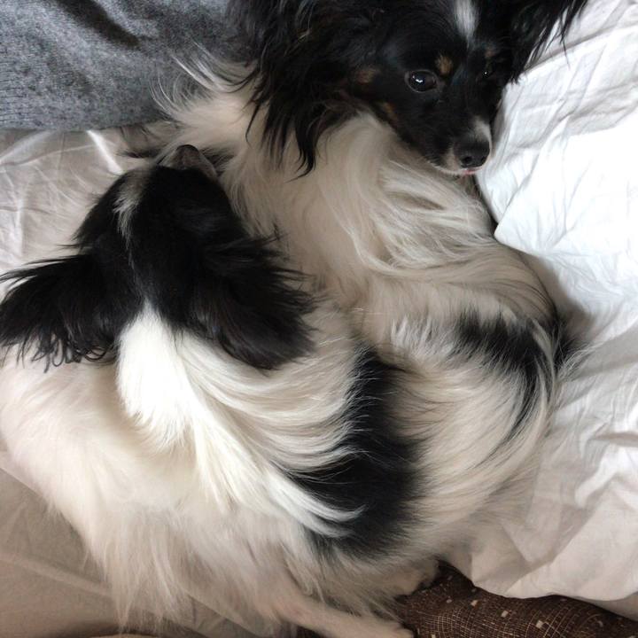 6bc318fe 077e 4390 8023 8c168c11c88e