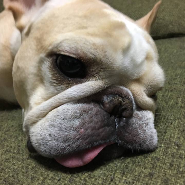 6bc31f42 e646 408c 8dfa acd668d15c80