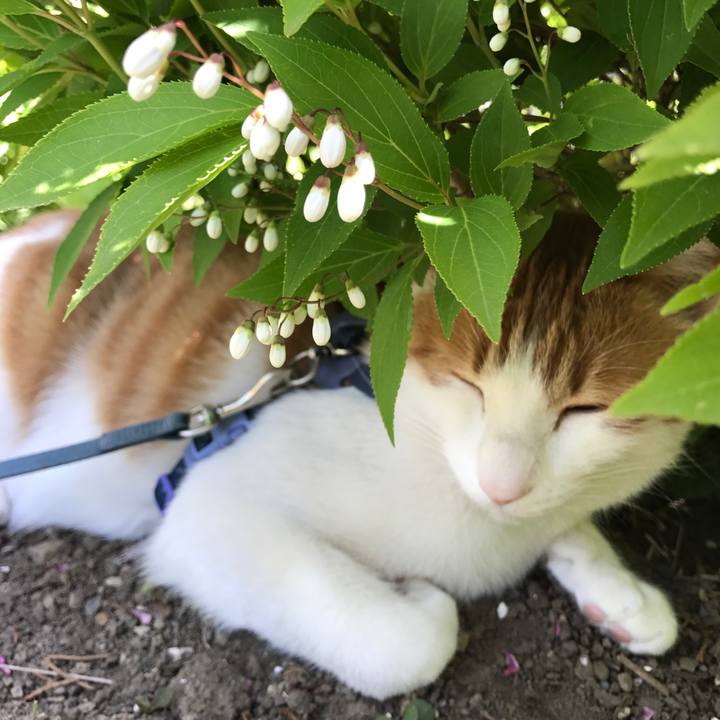 6bc4ad03 402f 41cf b6c3 be35e7f6c1da