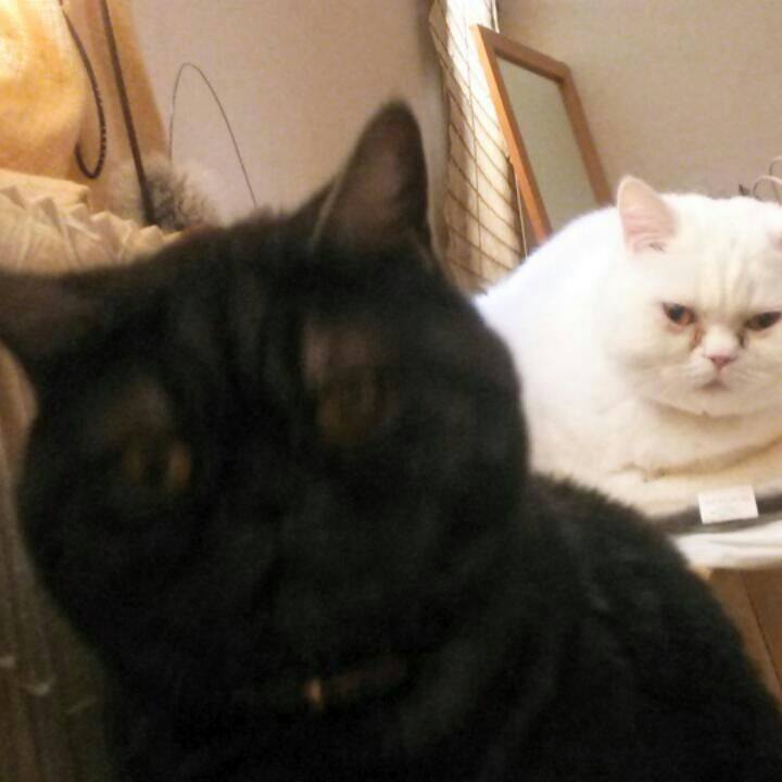 6bc4de57 8a22 40fd b8ca 84ddfd616424