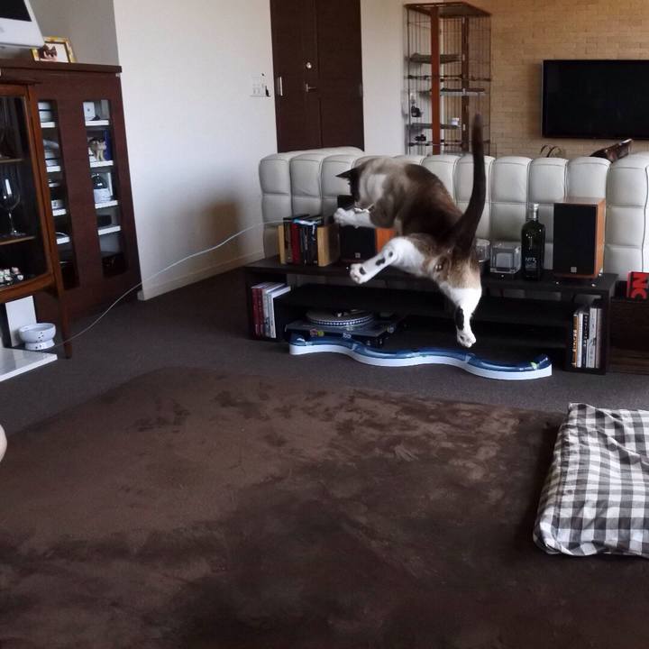 6bc548f1 64ef 4571 90ed ffa302578a3e