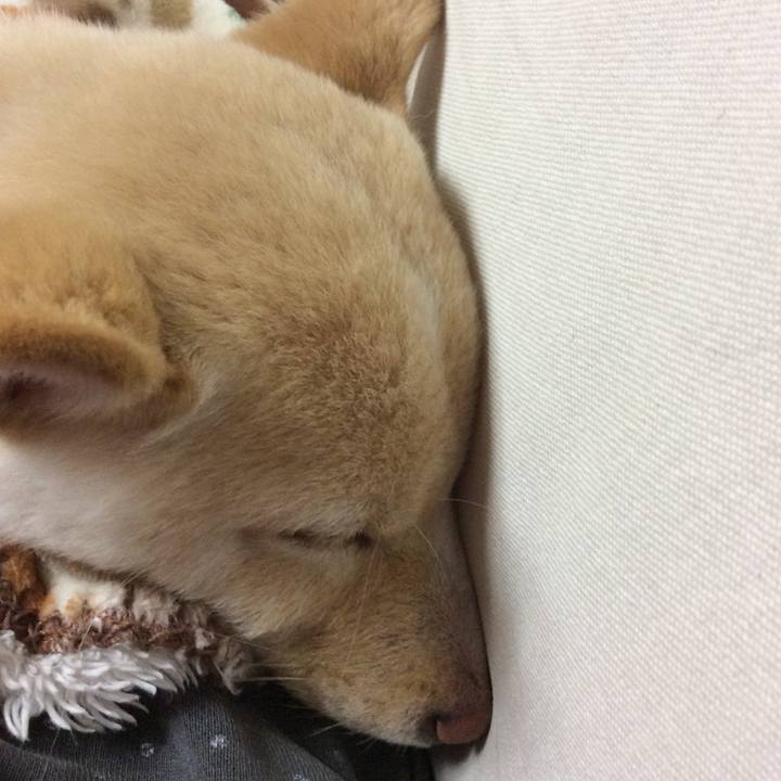 6bc5f38b 070b 4096 8327 5297c528b1e4