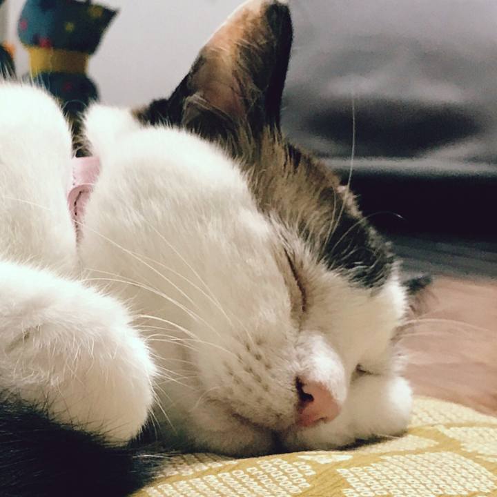 6bc66e73 b4a8 434a b759 121c26842855