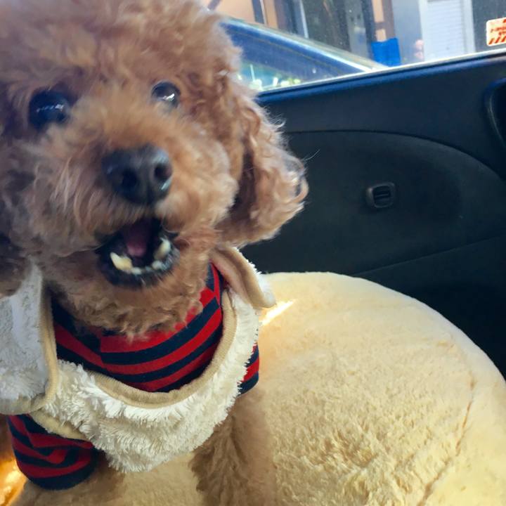 6bc6a70e 6513 40ed 9246 883d1f682205