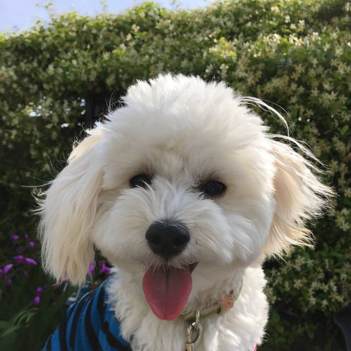 6bc77c6f 01bb 4efb a555 2b9b135ceeb8