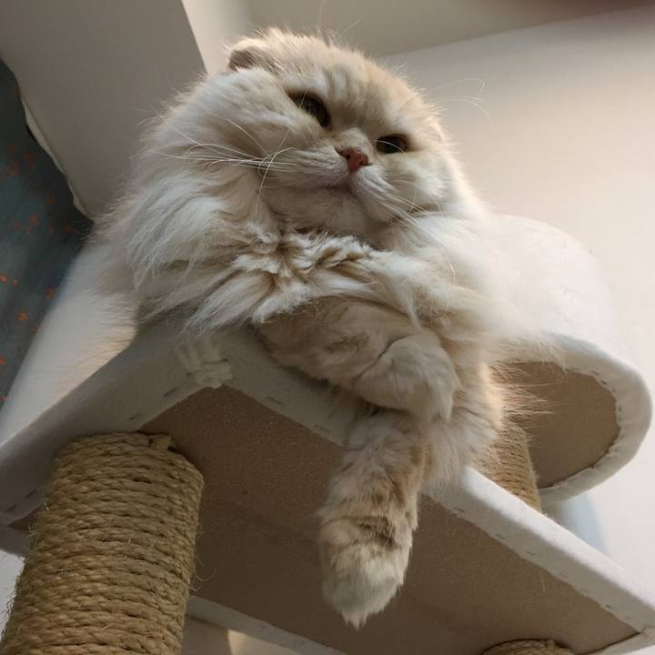 6bc7a444 ee89 44d6 8c0f 0c465e861425